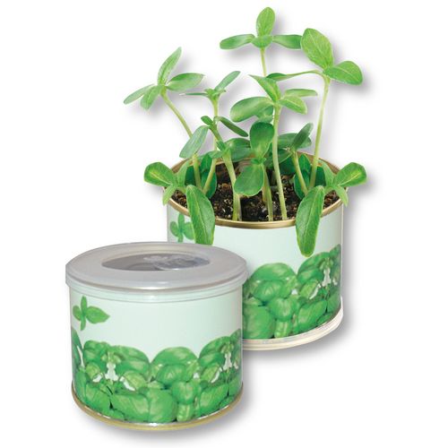 Boîte Herbes Aromatiques