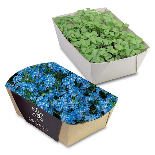 Jardinière en papier bambou avec graines - Myosotis Jardinière en papier bambou avec graines - Myosotis