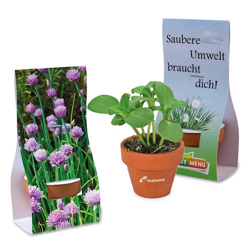 erbe aromatiche erbe aromatiche