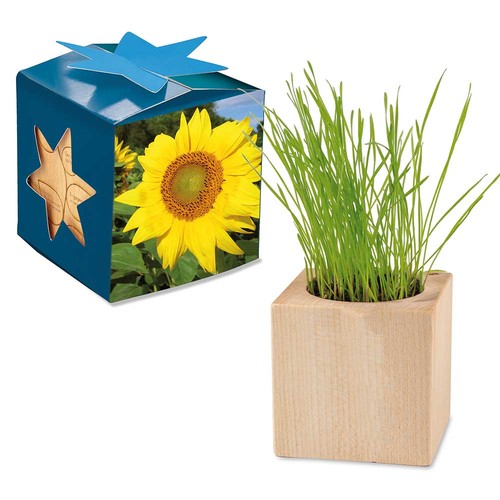 cubo publicitario