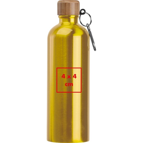 Drinkfles van rvs met karabijnhaak, 750 ml