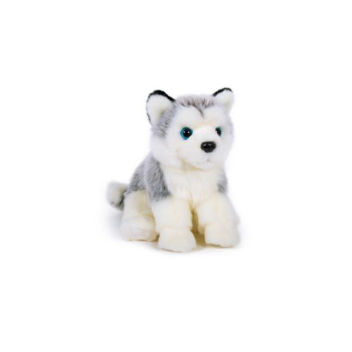 peluche