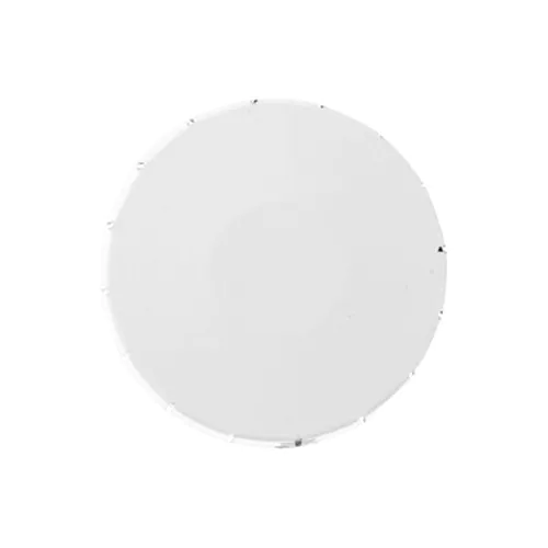 Sugar-free mints
