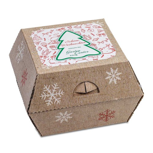 Coffret cadeau de Noël - Pot en argile avec graines d'épicéa, Père Noël en chocolat, sapin en forme de pâtisserie, flatteur de main