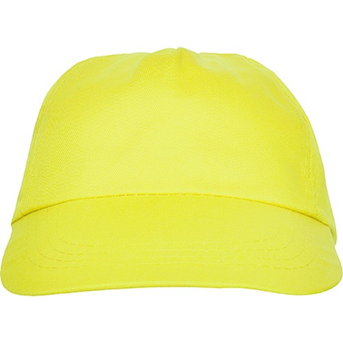 5 panels cap. BASICA
