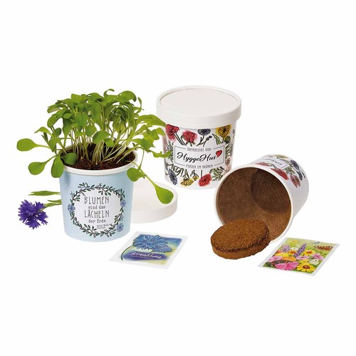 Cup Flower - zaadset - Fijnspar