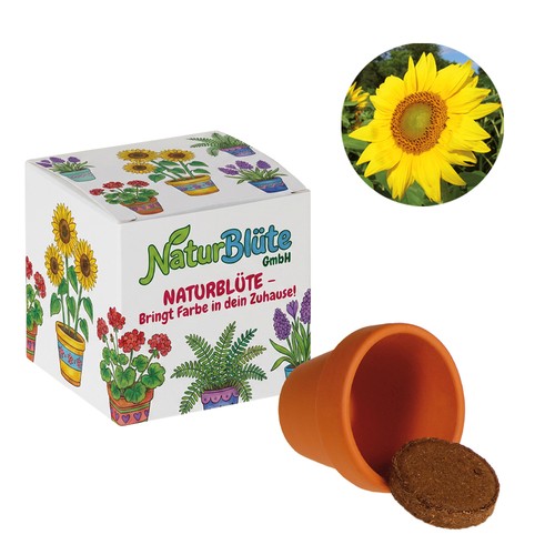Cube de graines promotionnel (papier blanc) - Tournesol