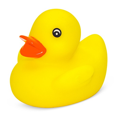 Duck Maestrale