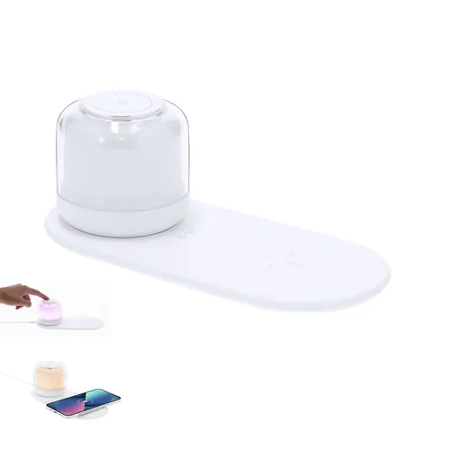 Charger Lamp Reginal