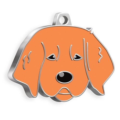 MEDAILLE CHIEN G.RETRIEVER PUPPY MARRON