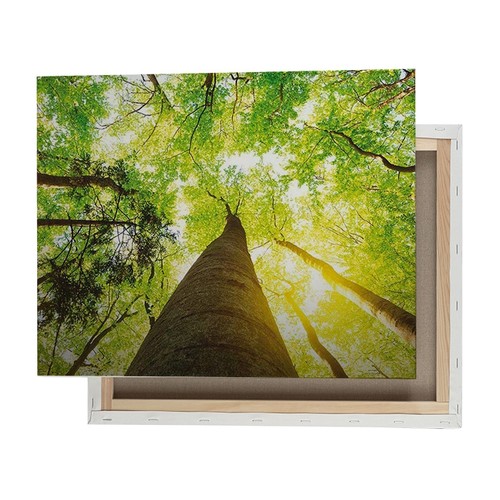 MAMPARA GRANDE ESTRUCTURA DE MADERA 40X60CM PERSONALIZABLE