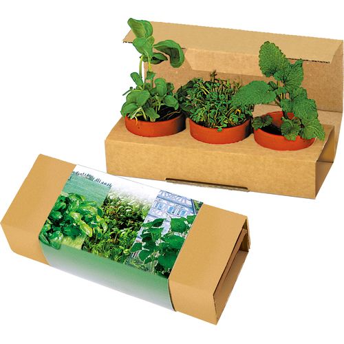 aromatische kruiden aromatische kruiden