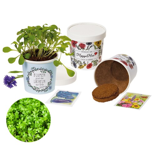 Cup Flower - zaadset - Kers
