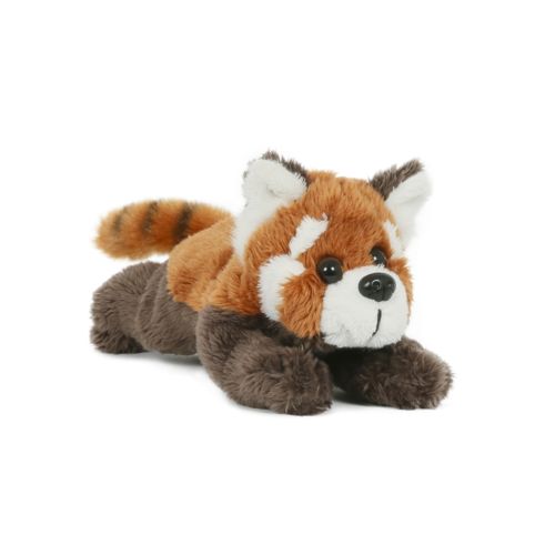 Peluche Peluche