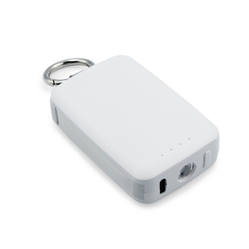 powerbank