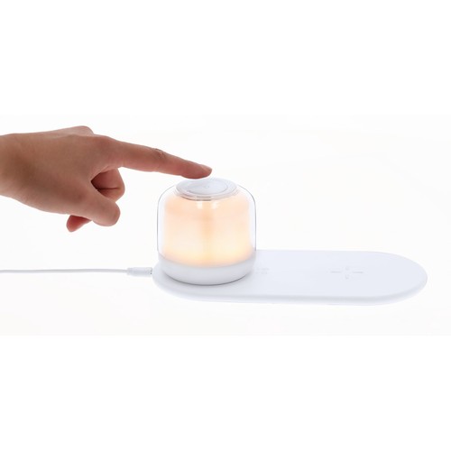 Charger Lamp Reginal Charger Lamp Reginal