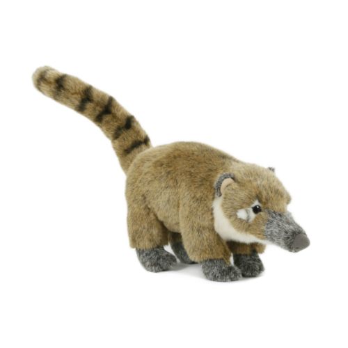 Coati Edition Premium 25 cm