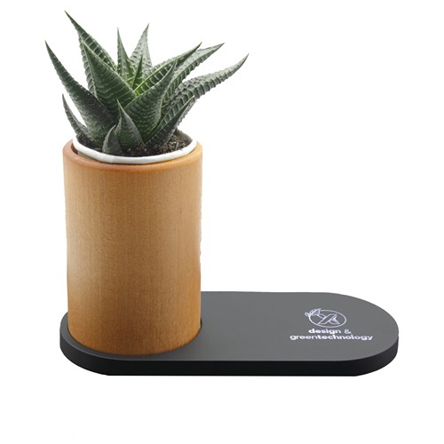 10W charging base and desktop air filtering plant 10W charging base and desktop air filtering plant