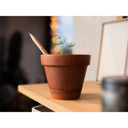 Sproutworld Sharpened Pencil Sproutworld Sharpened Pencil