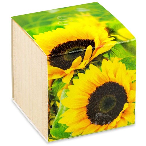 Pflanz-Holz - Standardmotiv - Sonnenblume - ohne Lasergravur Pflanz-Holz - Standardmotiv - Sonnenblume - ohne Lasergravur