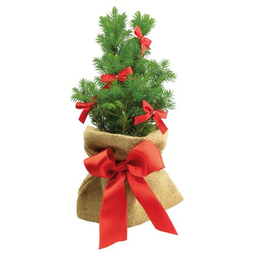 Gift Tree Bows 20-30 cm Gift Tree Bows 20-30 cm