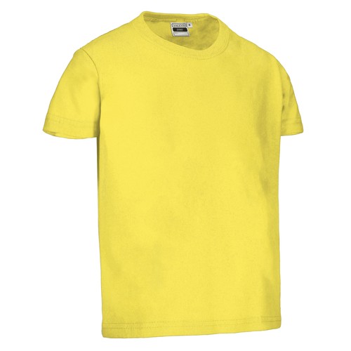 Camiseta infantil M/C DINO