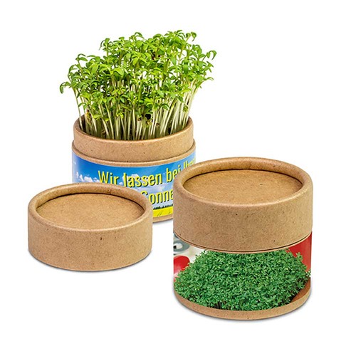 Boite kraft avec graines - Cresson