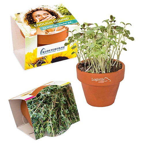 Mini pot terre cuite, fourreau complet - Thym Mini pot terre cuite, fourreau complet - Thym