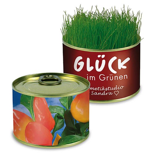Boite de conserve Nature avec graines - Piment