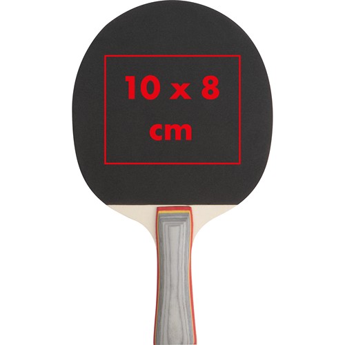 Table tennis set Masstricht