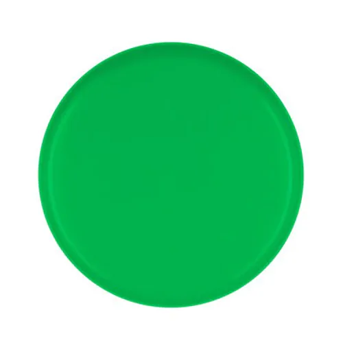 Frisbee | Eoan Frisbee | Eoan