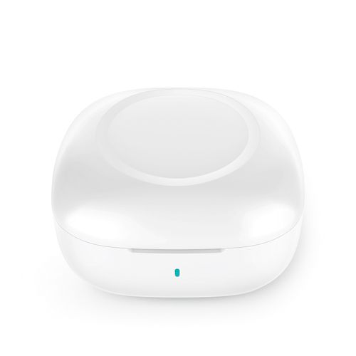 Chadwik Earbuds Chadwik Earbuds