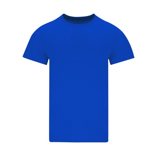 Adult Colour T-Shirt Perkins
