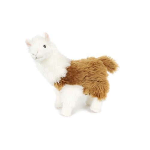 peluche peluche