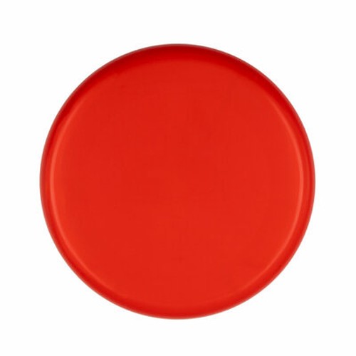 frisbee frisbee