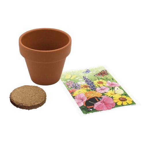 Small terracotta plant pots - Basil Small terracotta plant pots - Basil