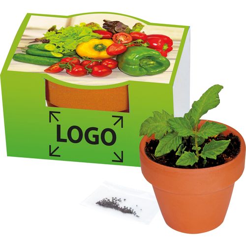 Veggie Snack Pot cocktail tomato Veggie Snack Pot cocktail tomato