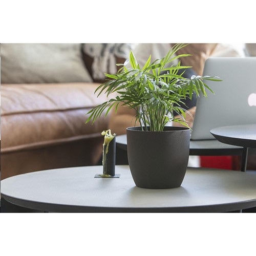 Coffee Flowerpot Coffee Flowerpot