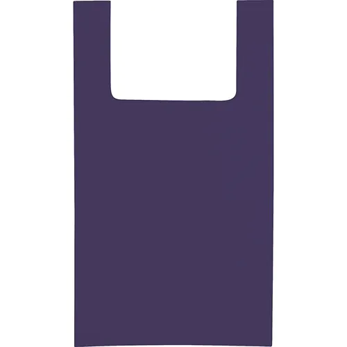 SAC EN TNT (70 gr/m²) THERMOSCHELLÉ AVEC SOUFFLET SAC EN TNT (70 gr/m²) THERMOSCHELLÉ AVEC SOUFFLET