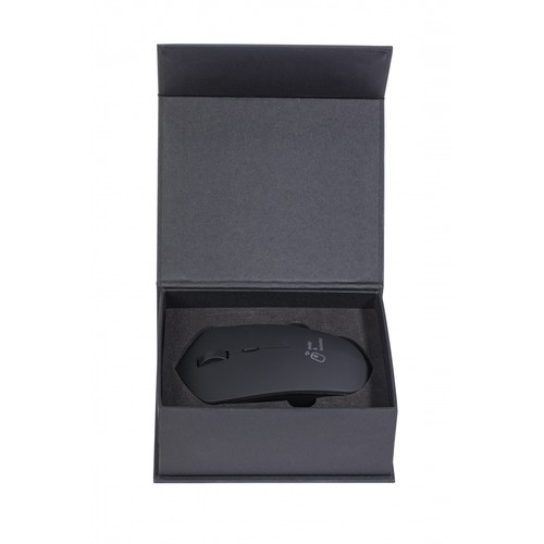 souris & base induction 10W