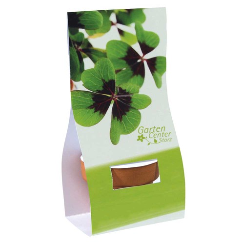 Mini Pot en terre cuite sous pochette avec graines - Four-leaf clover Mini Pot en terre cuite sous pochette avec graines - Four-leaf clover