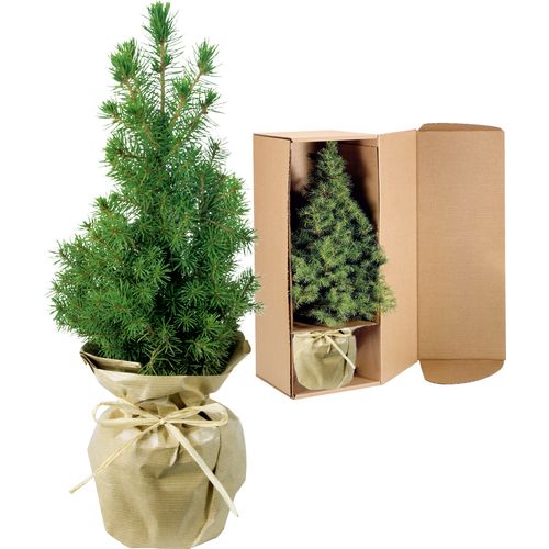 Little Tree Purely Natural 20-30 cm Little Tree Purely Natural 20-30 cm