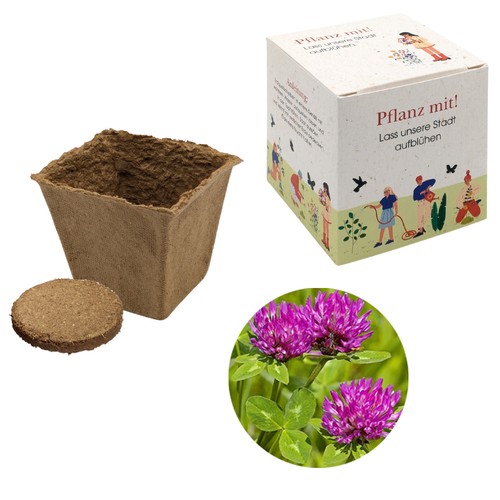 Cube-plantset (groot) - Rode klaver Cube-plantset (groot) - Rode klaver
