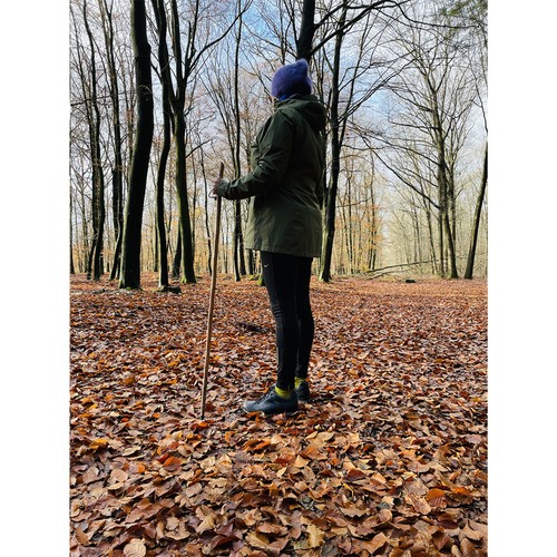 CleanWalk Walkingstick bâton de marche CleanWalk Walkingstick bâton de marche