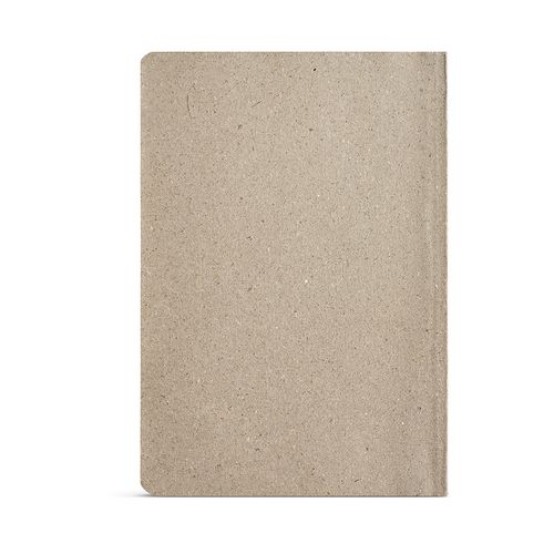 Poe Notebook Poe Notebook