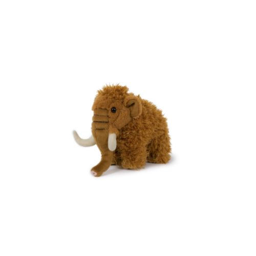 peluche
