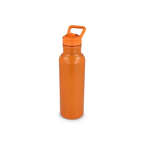 Darion Thermo fles 500ml