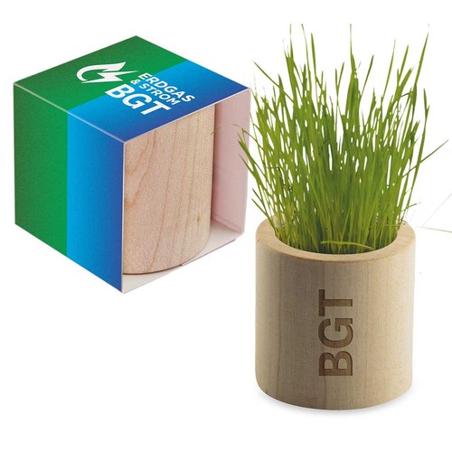 Pot rond en bois avec graines - Marguerite Pot rond en bois avec graines - Marguerite