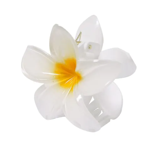 Pince à cheveux Tixcon Pince à cheveux Tixcon