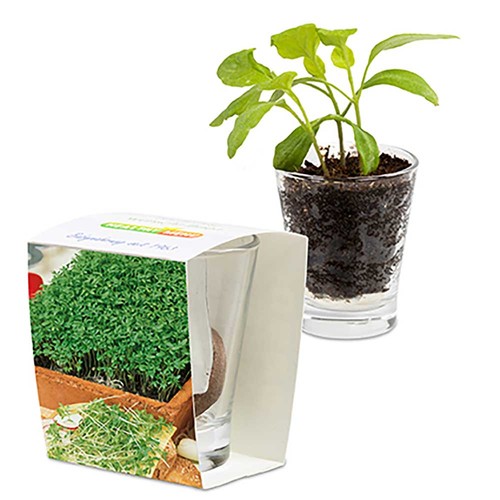Caffeino-Glass with seeds - Cress